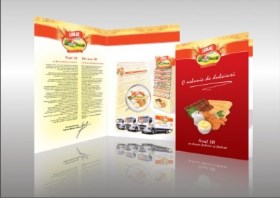 mapele_de_prezentare__design_si_printare_400